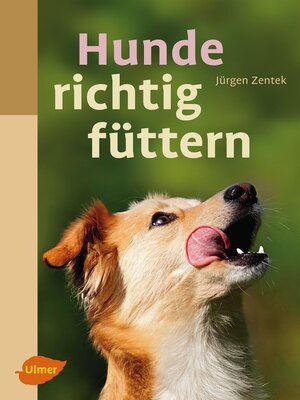 cover image of Hunde richtig füttern